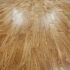 How to pick the right wood flooring for my house?